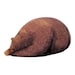 Big Sleeping Grizzly Bear Bean Bag - AIRMAIL - AFTER Christmas arrival item