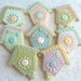 Bird House Decorated Cookie Favors - Bird House Decorated Cookies - 8 Cookies