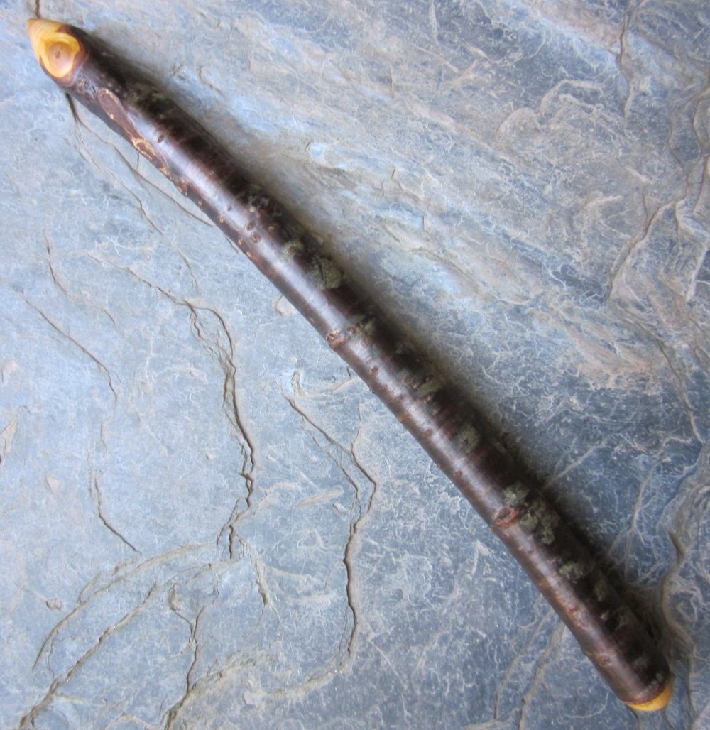 Natural Wood Wand - Wild Cherry - Aids Divination.