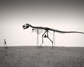 T-Rex Dino Nature Photography "Mans Best Friend" Dinosaur Skeleton,Black White Dinosaur Photo,Wall Decor,Dinosaur Art,16x24 Dinosaur Print