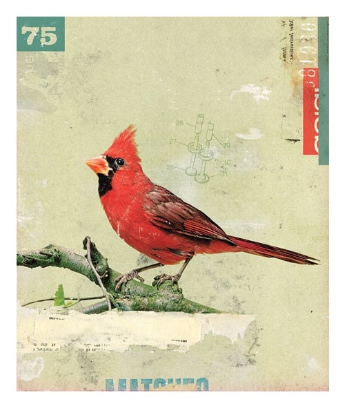 Bird No.6 (2008)