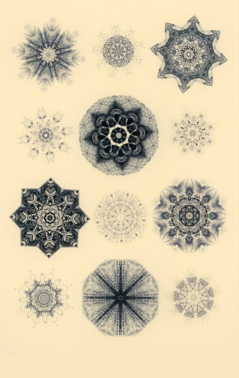 Les etoiles de mer - abstract art print art mandala art fine art print sea finds abstract art sea art sea creatures abstract print