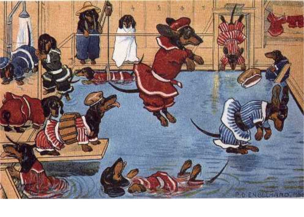 Dachshund Dog s At The Swimming Pool Fridge Magnet Old Time Dogs Vintage Dressed Dogs Doxie
