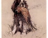 Springer Spaniel With Pheasant First Hunt Gorgeous Notecards Card s