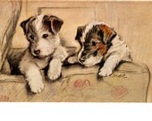 Little Wire Fox Terrier Dog s On Sofa Where s That CAT Notecard s Puppies Curious