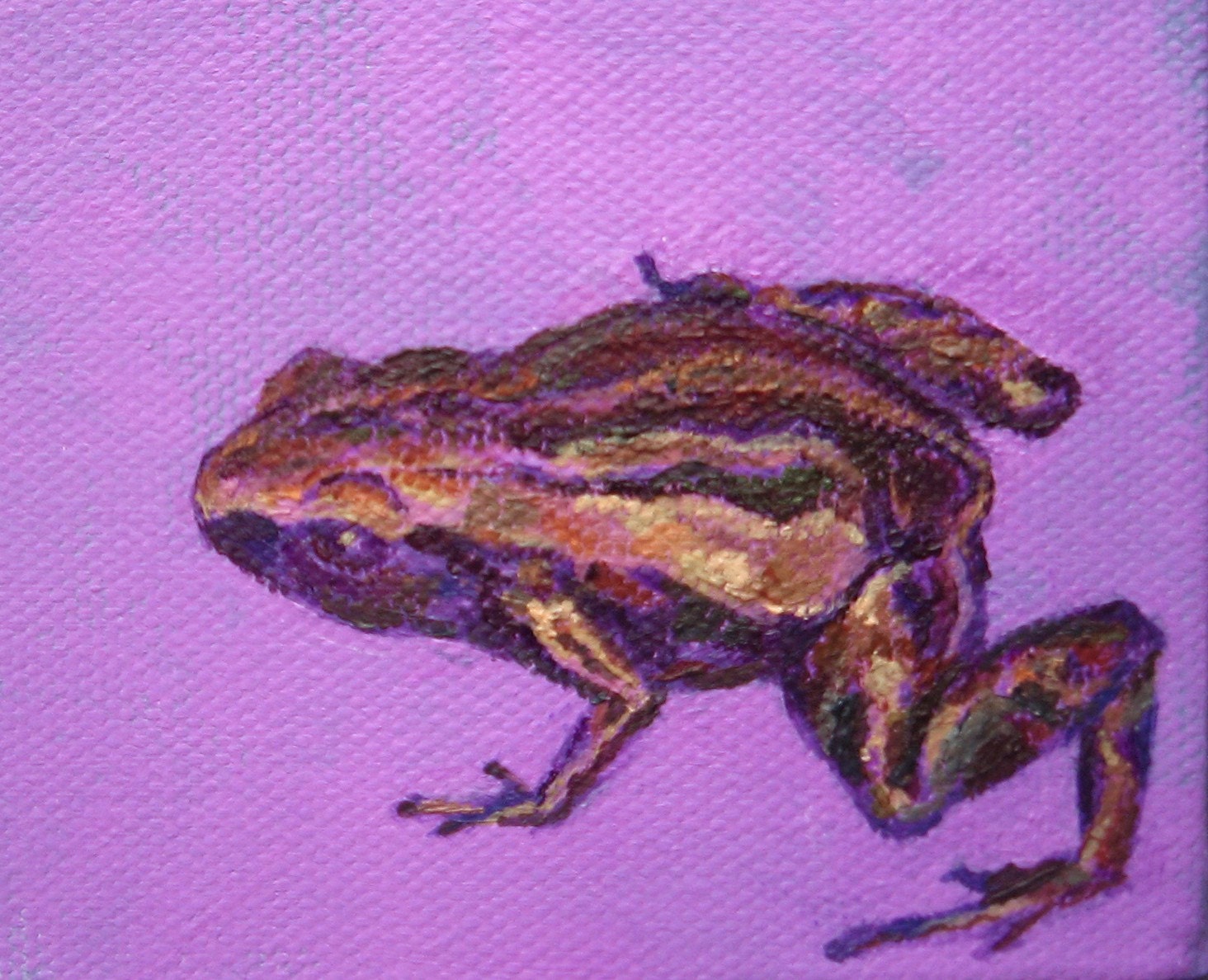 Frog, Small Original Painting