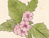 Marsh Mallow Print