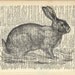 Rabbit, Art Print, Vintage Dictionary, Book Page, Bunny, Nursery, Child, Nature, Woodland