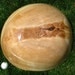 Large natural edge silver maple bowl