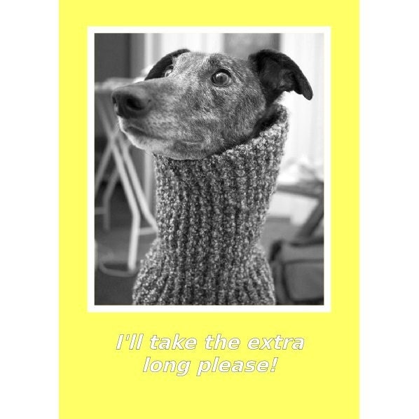 Greyhound snood card - I'll take the extra long please.