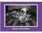 Greyhound birthday card - Happy Birthday.