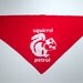 Pirate & squirrel patrol dog bandanas - RESERVED for Holly and her hounds