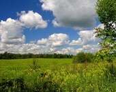 Landscape Photograph - Field of Dreams 8x10 Ohio Nature Scene