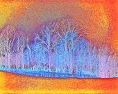 Landscape Abstract Tree Photo 5x7 Fine Modern Art Woodland Photography Print