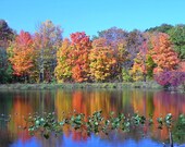 Autumn Photography 5x7 Fall Reflection Landscape and Nature Color Print Home Decor