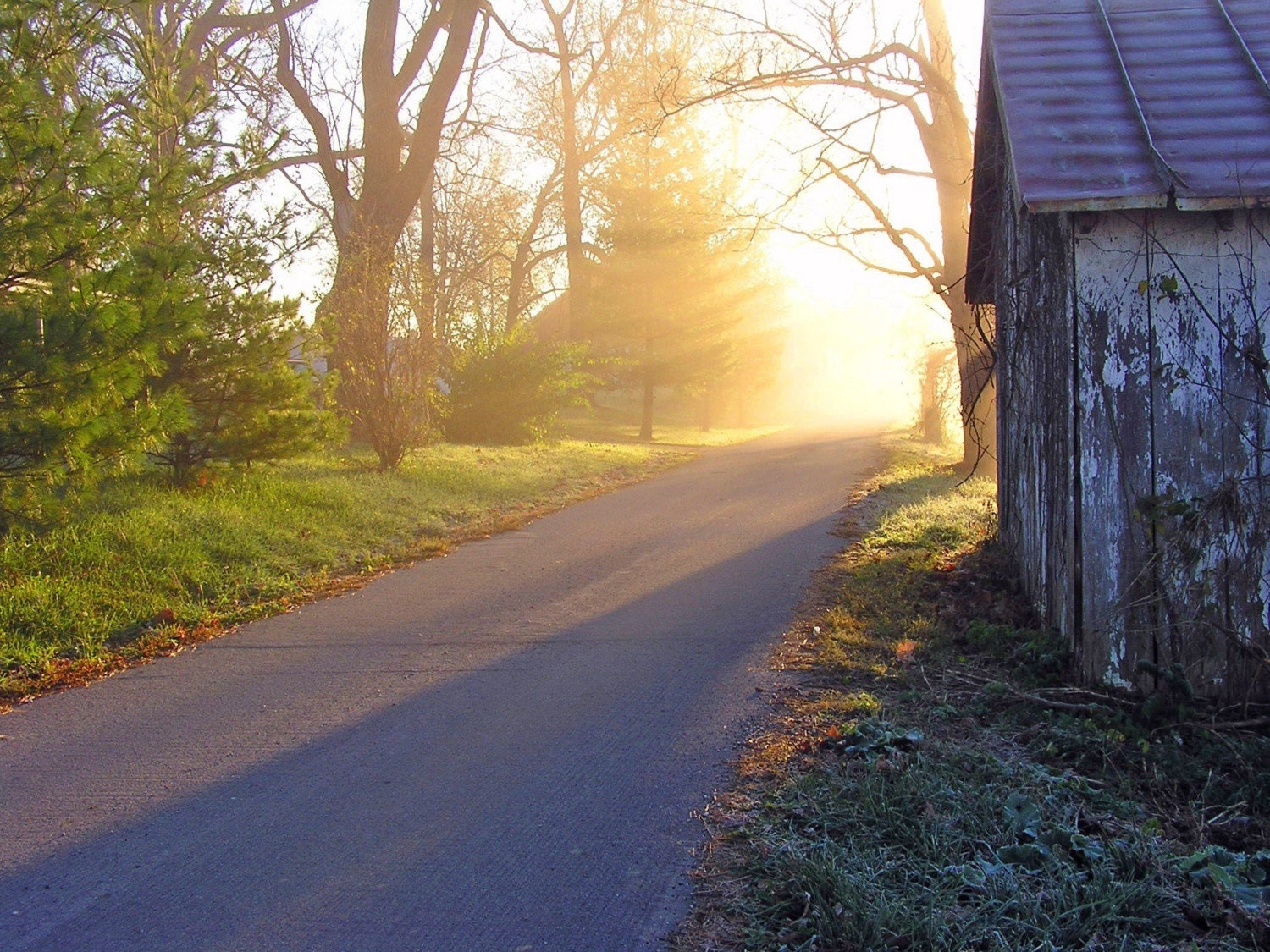 Rustic Photo 5x7 Here Comes the Sun Nature Photography