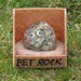 Real Pet rock wearing glasses funny smile and his hand stitched rice bag chair home.