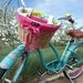 Custom Bike Basket Liner