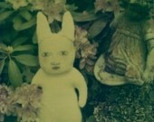 Green Polaroid Photography Print, Rabbit Patch
