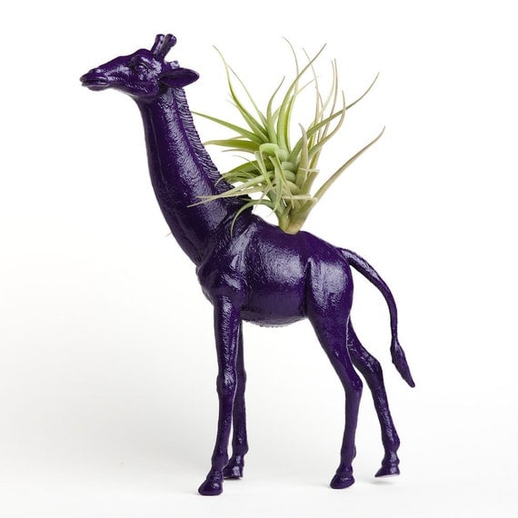 Giraffe Planter with Air Plant Room Decor, College Dorm Ornament, Plants and Edibles