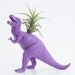 Dinosaur Planter with Air plant- Dorm Room Geekery Decoration, Purple Plant Pot