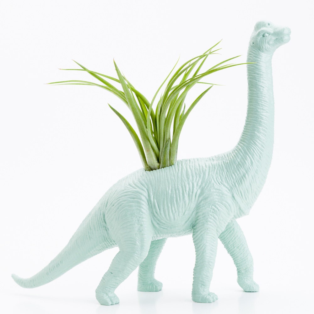 Dinosaur Planter with Air Plant Room Decor, College Dorm Ornament, Plants and Edibles, Mint Green