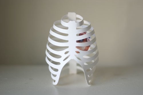 Ribcage with Heart