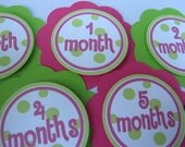 Birth to 12 month circles - You choose the colors