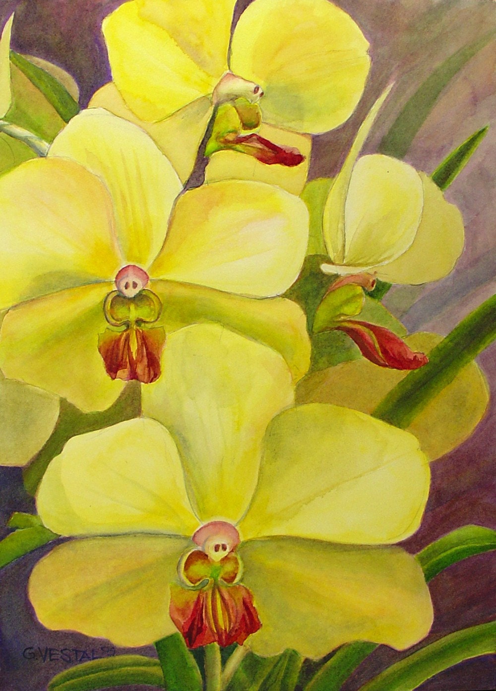 Vanda Orchid original watercolor painting