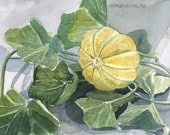 French Orange Melon Watercolor