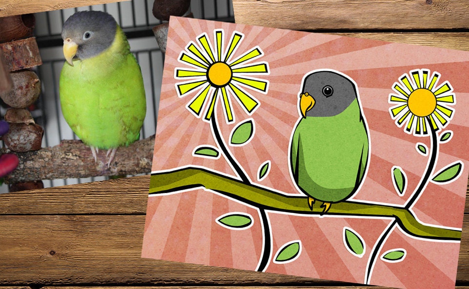 Custom Pet portrait from your photos Exotic Birds Parrots Lorikeet Parakeet
