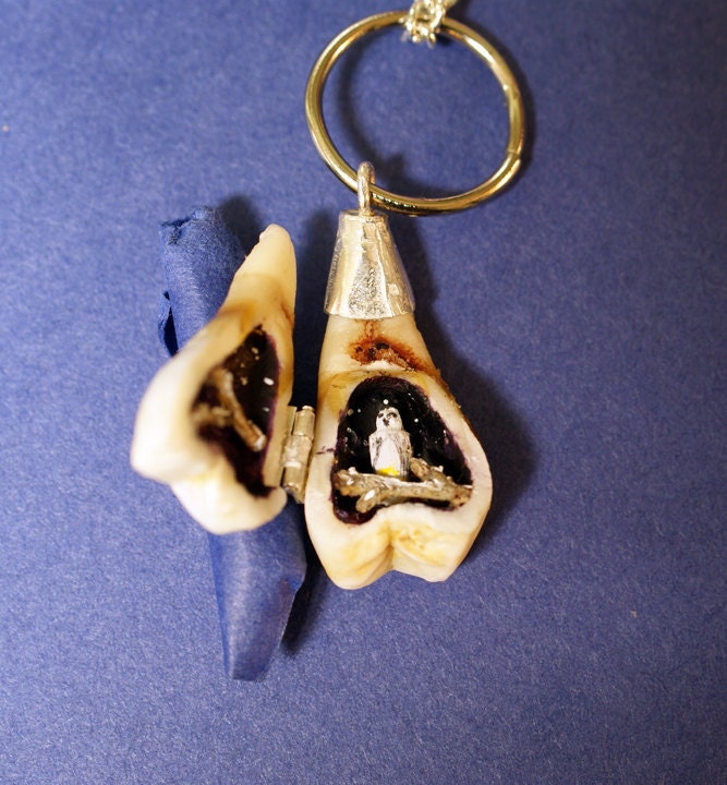 Tooth Locket - The Wisdom Tooth
