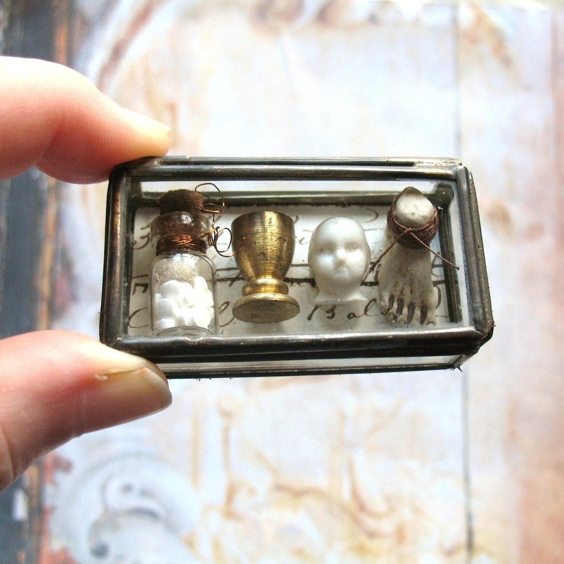 Pocket Museum - Glass Box Assemblage