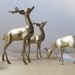 herd vintage brass deer
