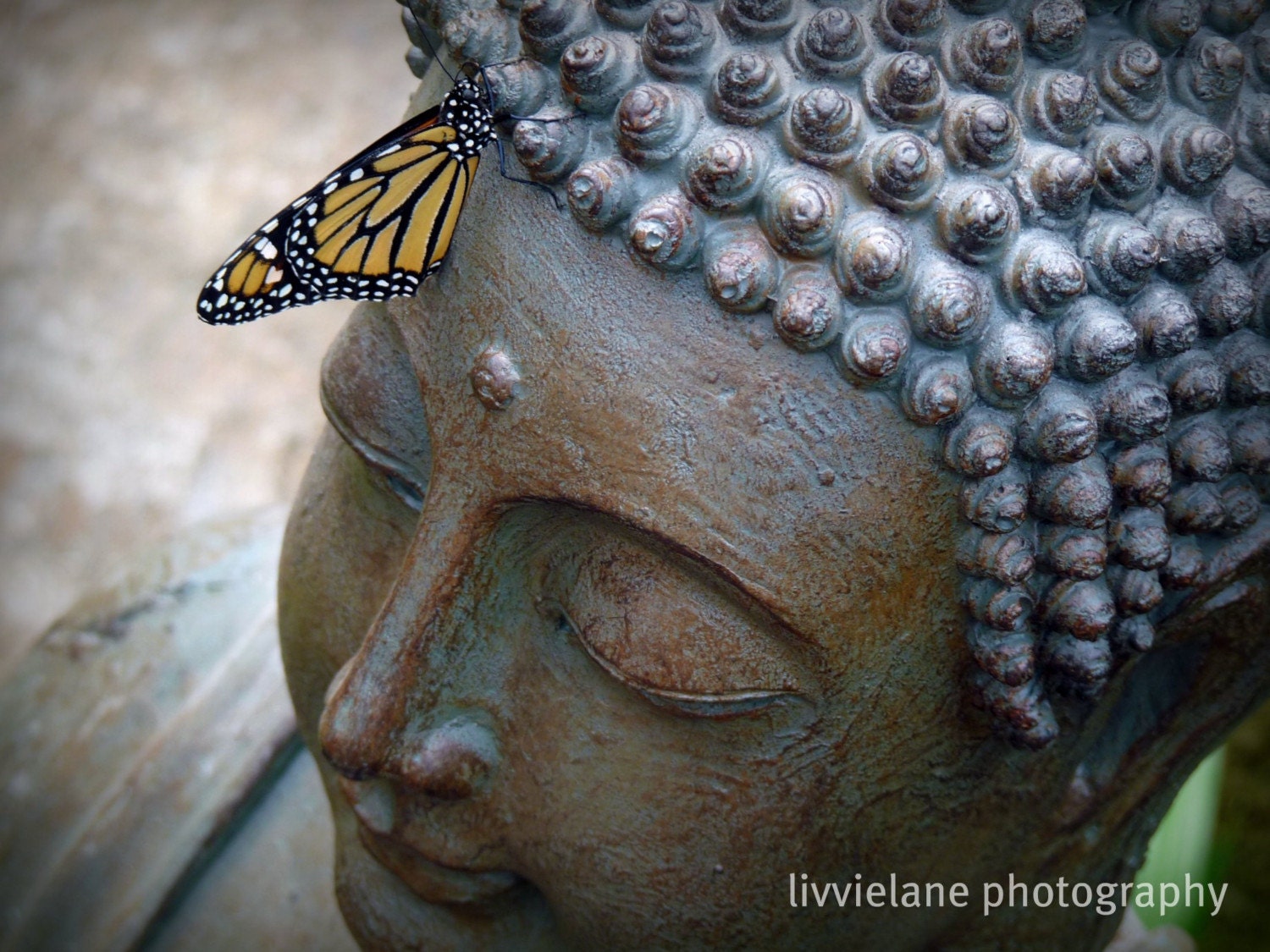 Nature photography - Moment of Zen - 11 x 14 fine art butterfly photograph -- neutral beige and blue tones