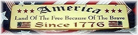 America land of the free because of the brave primitive wood sign