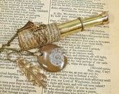 Telescope Spyglass Ammonite Necklace with Literature browns and brass