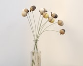 CUSTOM ORDER for Kelsey - 10 acorn flowers (EXPRESS shipping)