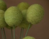 Wool Flowers, felt Craspedia Billy Button Ball woodland moss green home decor wedding bride bouquet handmade gift large