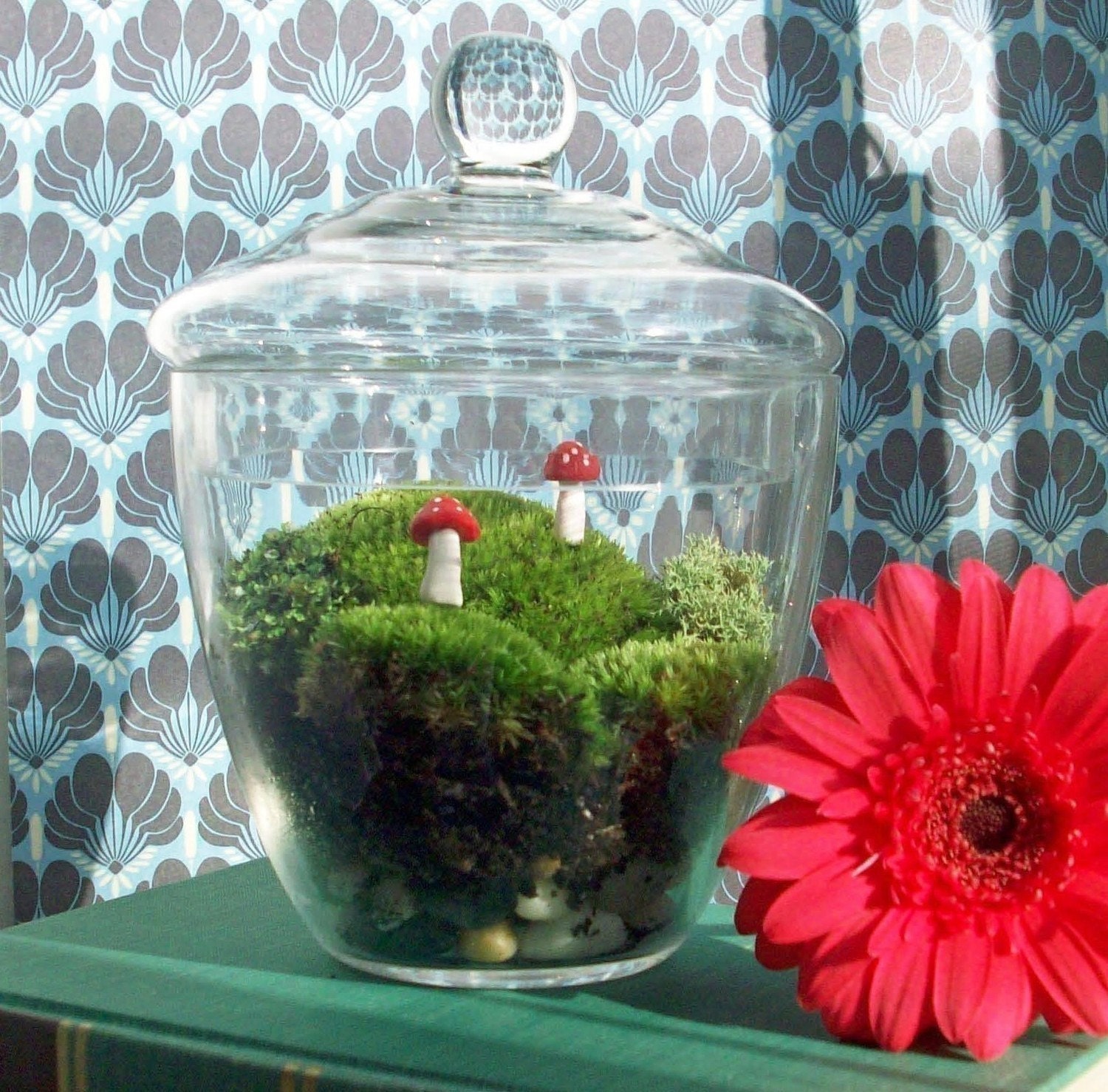 Apothecary Jar Moss Terrarium No. 21 by blithegardens on Etsy