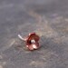 Cherry Blossom Tragus Earring, cartilage Earring - ROUND petals, 5-6mm, Gifts under 15