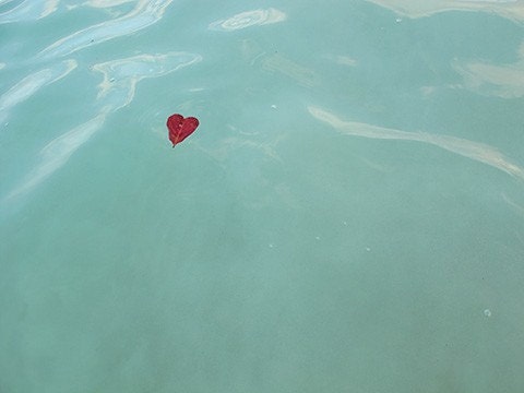 Red aqua photo - Love Floats - 8x10 print - tropical beach anniversary gift