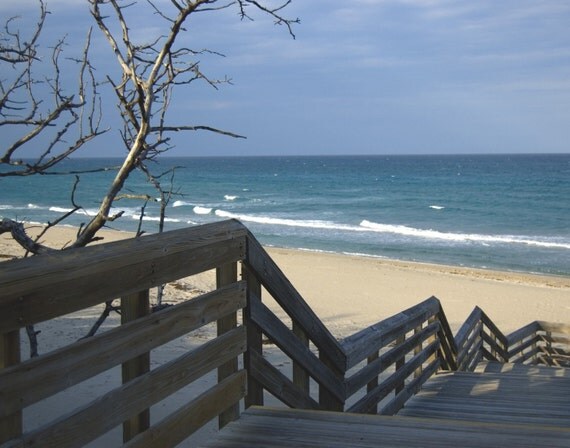 Boardwalk.
