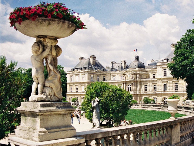 Luxembourg Garden - Paris, France 8 X 10 Photo Print / Affordable Home Decor/ Wall Decor/Holiday Gifts