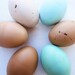 Easter egg- wooden heritage breed chicken eggs- eco friendly- Waldorf toy