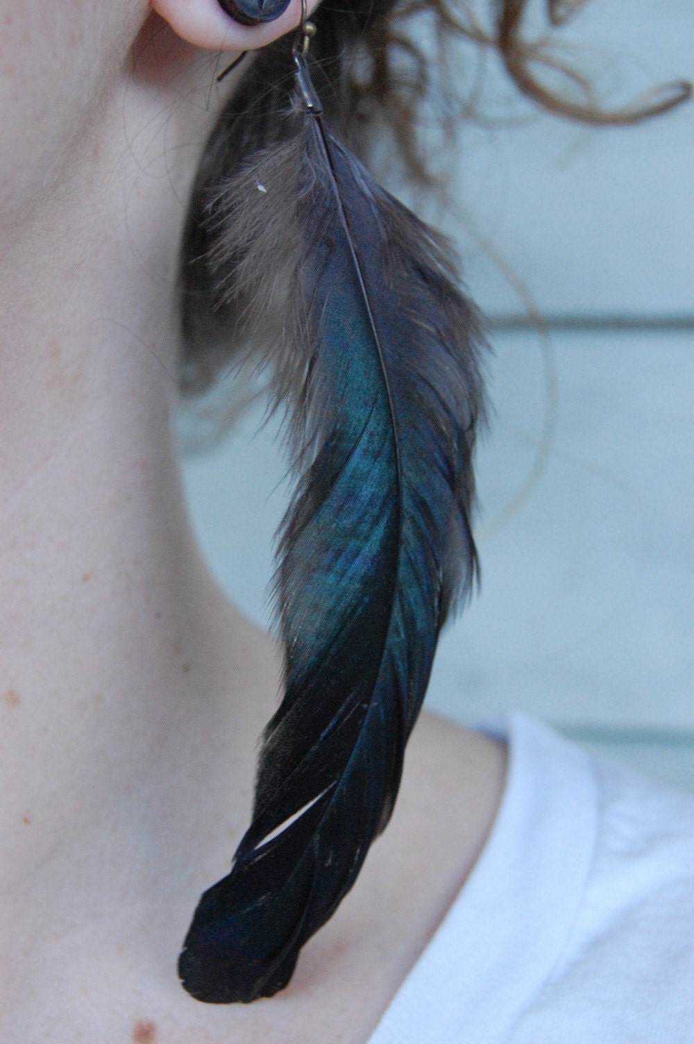 the raven's wings