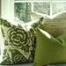 20x20-Bird Design-Designer Decorative Pillow--Green Throw Pillow-Accent Pillow 20X20- Moss Green and Ivory - Thomas Paul