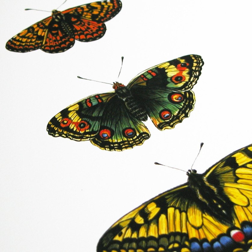 Three Butterflies Original Art Print - giardino