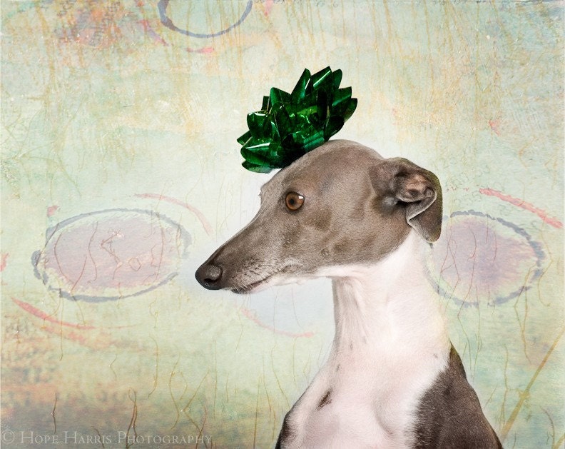 Pia's Fabulous Hat