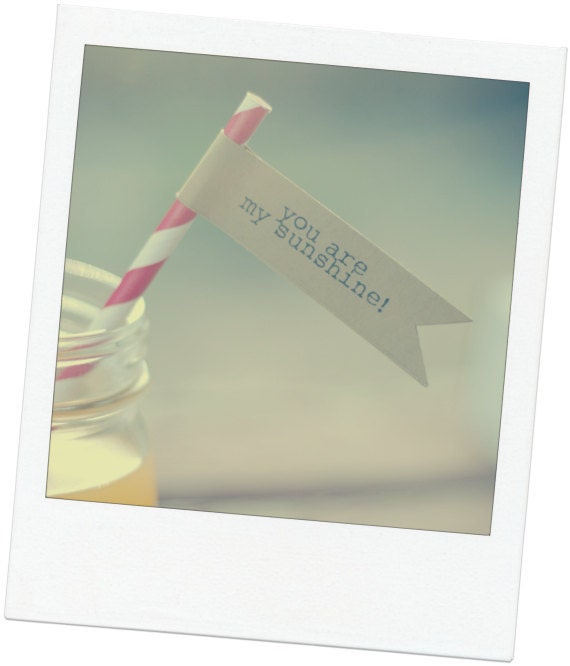 Printable "You Are My Sunshine" Straw or Cupcake Flags - 15 per page - DIY - Vintage Birthday or Baby Shower Favor Decor